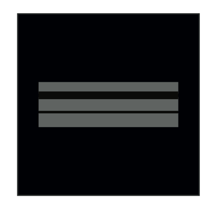 Grade Poitrine Police Municipale